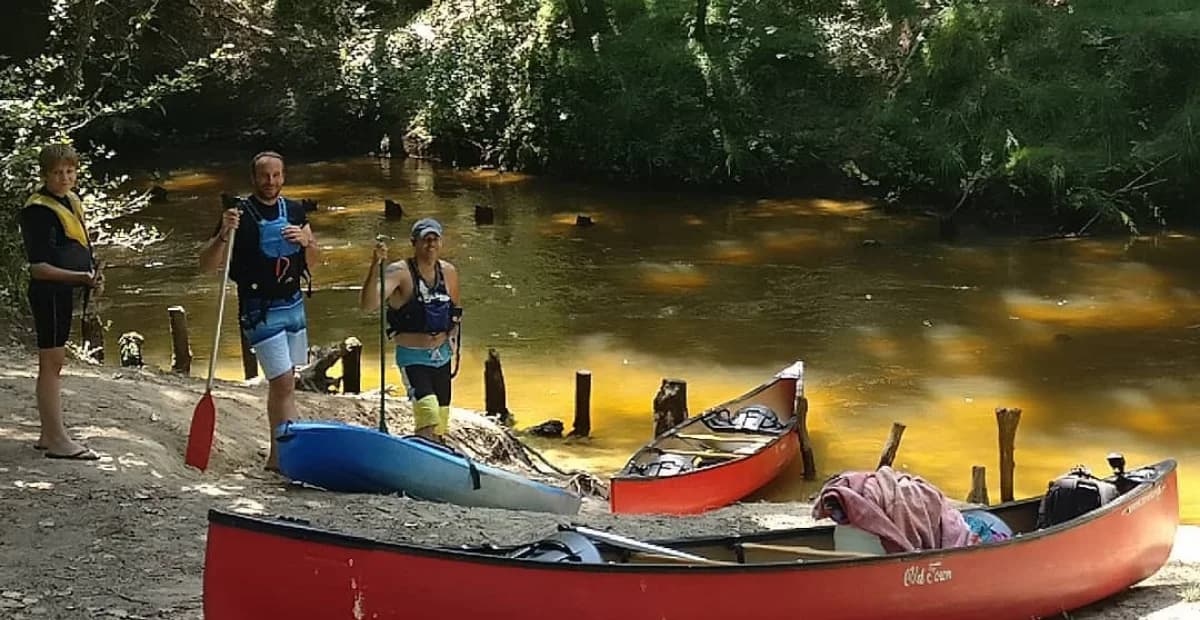 Canoeing down the Leyre, between the trees of the Landes forest